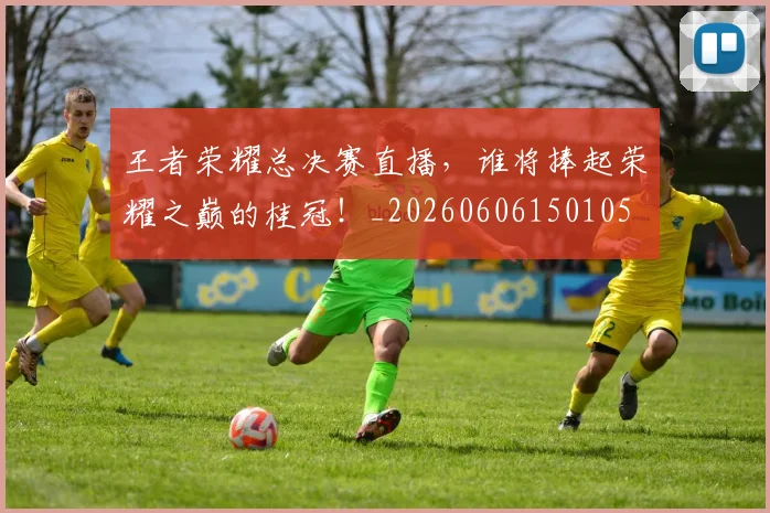 王者荣耀总决赛直播,谁将捧起荣耀之巅的桂冠!_20260606150105