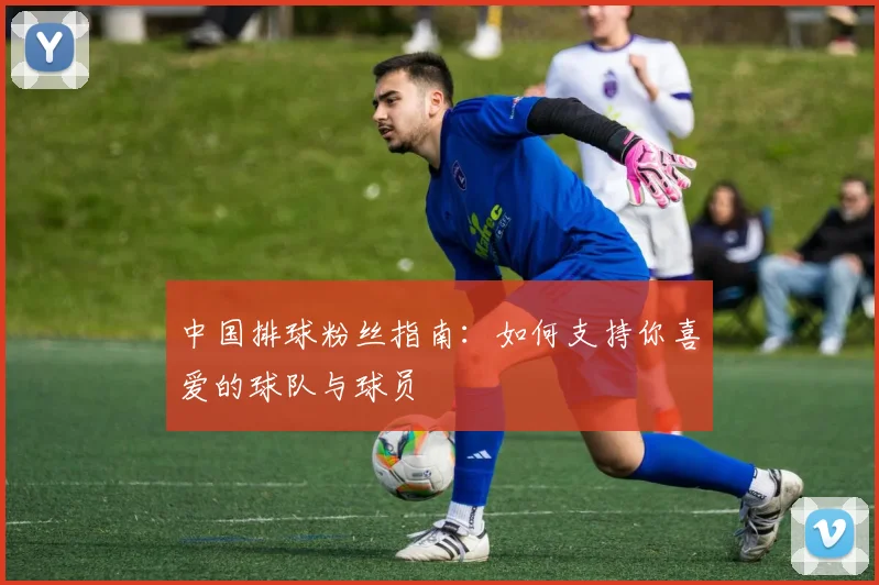 中国排球粉丝指南:如何支持你喜爱的球队与球员