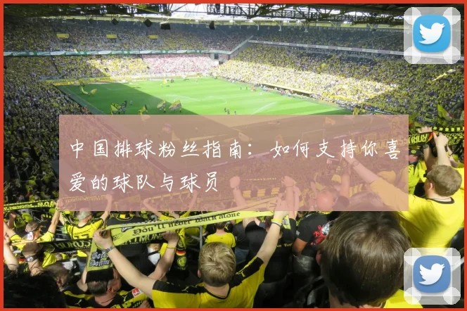 中国排球粉丝指南:如何支持你喜爱的球队与球员