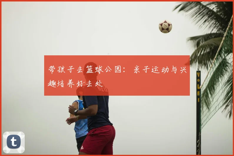 带孩子去篮球公园:亲子运动与兴趣培养好去处